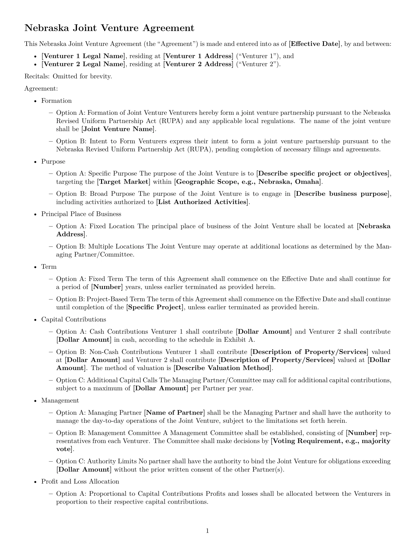 Preview page 1 of Free Nebraska joint venture agreement template