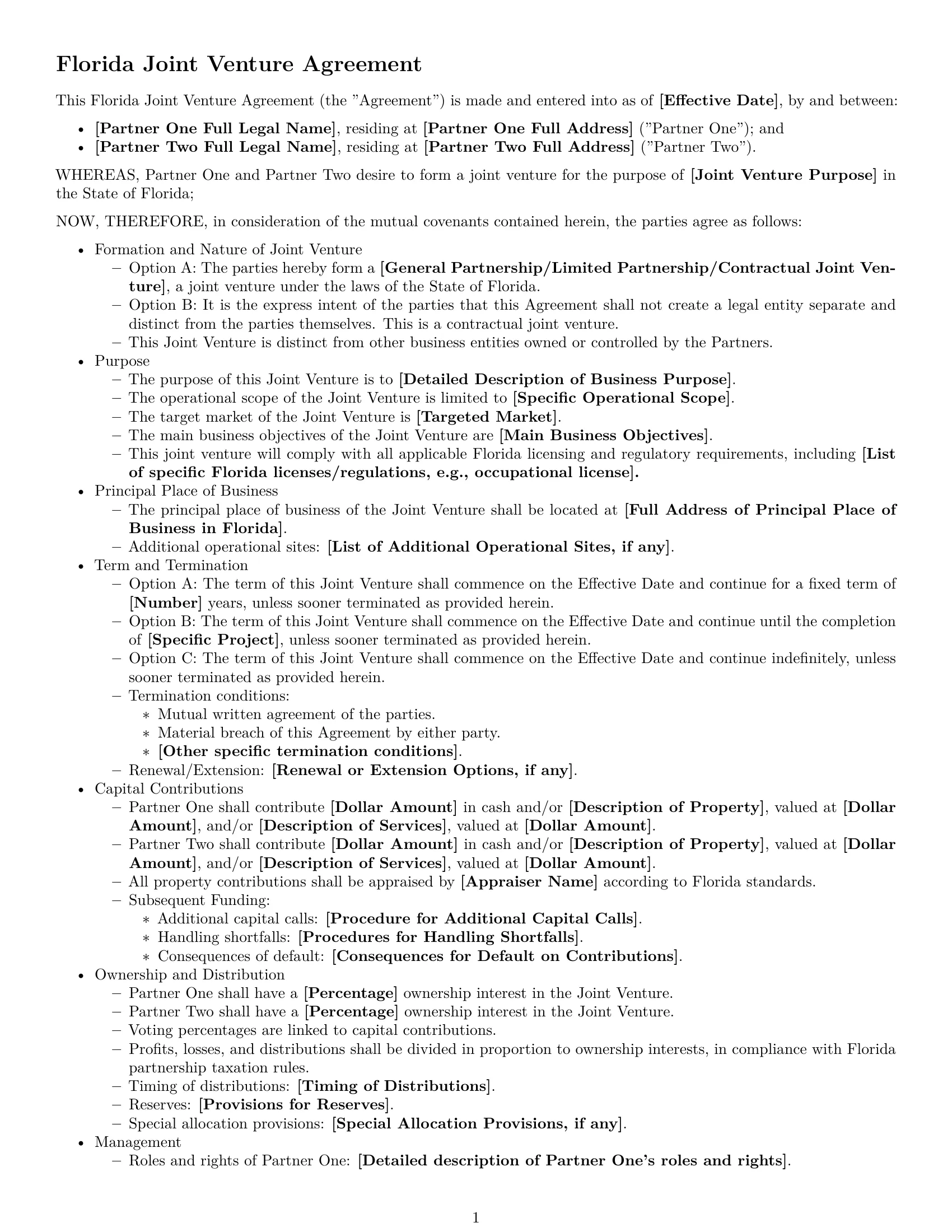 Preview page 1 of Free Florida joint venture agreement template