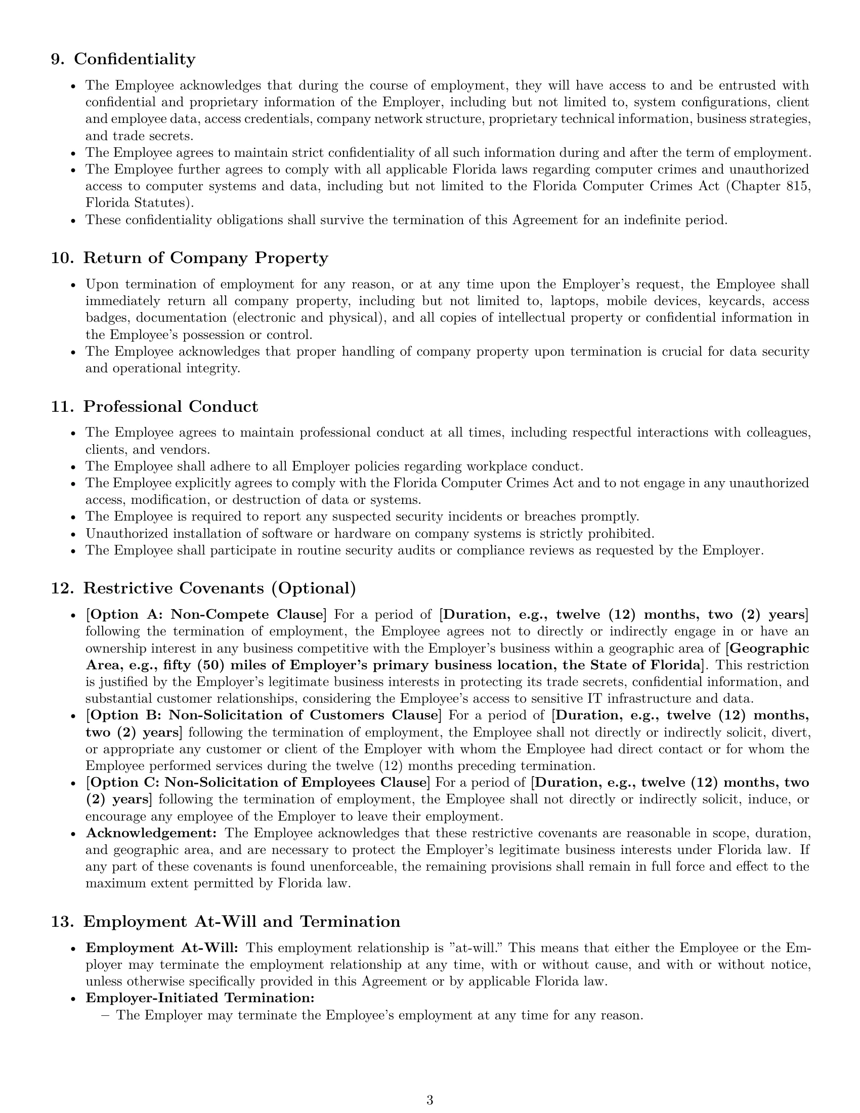 Preview page 3 of Pro Florida IT assistant employment contract template