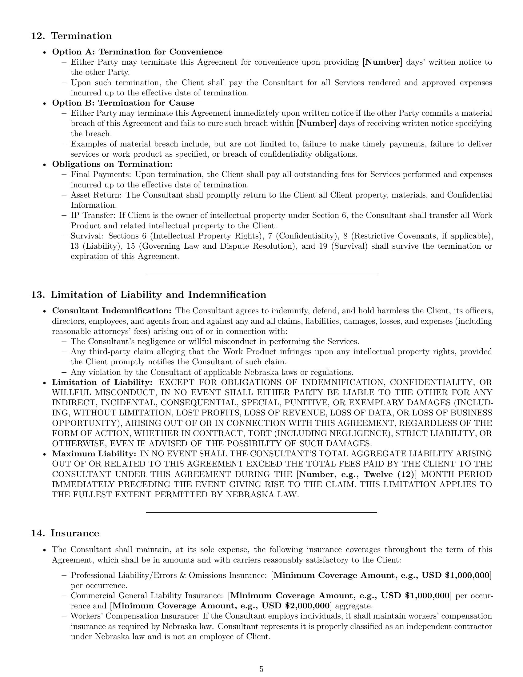 Preview page 5 of Pro Nebraska consulting service contract template