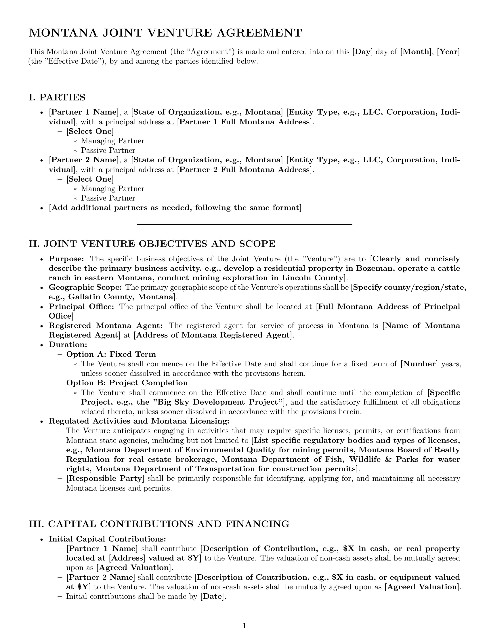 Preview page 1 of Pro Montana joint venture agreement template